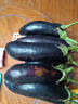 寿光农家紫茄子紫茄新鲜现摘生鲜超市蔬菜烧烤搭档 五斤绿把茄子 5斤 实拍图