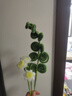 欣沁扭扭棒向日葵花束手工diy材料包永生花编织带包装教程 节日礼物 实拍图