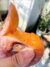 秦品轩真空柿饼500g陕西西安特产零食农家自制吊饼霜降柿子干独立包装 实拍图