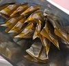 伊利高个子全聪高锌高钙学生奶粉 奶粉儿童6-14岁 早餐 DHA+ARA 400g 实拍图