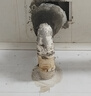 立邦 水不漏堵漏涂料 快干水泥堵漏灵 卫生间堵漏宝 速凝型胶泥 2kg 实拍图