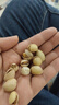 三只松鼠开心果250g/袋 无漂白每日坚果炒货休闲零食地方特产 实拍图
