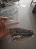 奇圣风干牛肉干西藏特产手撕超干牛肉干成人解馋小零食肉干肉脯 麻辣味200g*1袋 实拍图