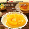 芝麻官送礼礼盒 整箱装黄桃罐头258g*8瓶 水果罐头  休闲零食 实拍图