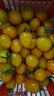 京喜加夏日阳光小番茄黄色迷恋圣女果即食水果小柿子现摘现发减肥 黄色圣女果1斤装 实拍图