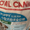 皇家狗粮 幼犬狗粮 宠物 小型犬 MIJ31 全价犬粮 2-10月 2KG 实拍图
