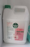 滴露（Dettol）洗手液补充装大桶消毒滋润5L 儿童家庭装杀菌护手 实拍图