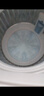 Haier海尔波轮洗衣机全自动8/10公斤大神童大容量租房家用神器升级除菌除螨洗柔护内筒以旧换新补贴统帅 6公斤小神童+速洗+风暴洗高达1.22洗净比 实拍图