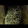 陈一凡茶叶 黄山毛峰 2025新茶雨前一级茶叶浓香型绿茶春茶袋装125g 实拍图