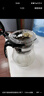 天喜（TIANXI） 玻璃茶壶耐热茶具飘逸杯泡茶壶杯泡茶器泡茶壶茶水分离杯家居馆 实拍图