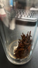 乐品乐茶金骏眉红茶茶叶2025新茶特级正宗武夷山浓香型茶叶250g自饮送礼袋 实拍图