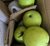 河北皇冠梨蜜梨冰糖梨脆甜远达新10 河北皇冠梨带箱4斤装 实拍图