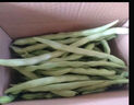 高山四季豆新鲜应季蔬菜豆角豆青现摘现发炒熟食用京东物流 带箱2斤 实拍图