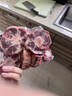 肉鲜厨师 谷饲原切牛尾骨 净重1斤 甄选中段牛尾宝宝辅食煲汤炖煮生鲜牛肉 实拍图