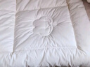 京东京造100%天然新疆棉花被 纯棉被芯单人被子 春秋被3斤1.5x2m 实拍图