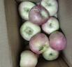 同甘园 正宗天然冰糖心苹果富士 脆甜新鲜山西时令应季丑苹果 节日送礼 净4.5斤单果130-150g商超品质 实拍图