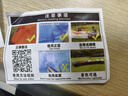 格术充气沙发音乐节露营装备户外懒人空气沙发演唱会充气床坐垫躺椅蓝 实拍图