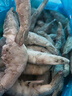 北海湾 虾 青岛大虾鲜活冷冻基围虾 虾类 海鲜水产生鲜白虾青虾海虾对虾 气冻大虾 3斤(净重)  17-21cm【单只冻 超大虾王】 实拍图