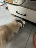 HELLOJOY猫碗狗碗304不锈钢猫食盆防打翻猫咪喝水碗保护颈椎增高宠物饭碗 实拍图
