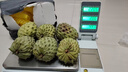 沐小七果蔬 凤梨牛奶释迦果【顺丰-多地次日达】泰国大目番荔枝新鲜水果礼盒 5斤装【80%选择-超值推荐】净4斤 30年老树 超大果王【单果约350-500g+】 实拍图