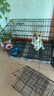 宠乐乖（CHONGLEGUAI）狗笼猫笼狗笼子中小型犬幼犬加粗加密折叠猫笼子猫咪兔笼具760JC 实拍图