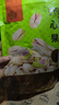 每果时光非漂白开心果新货原色开口大颗粒坚果炒货干果孕妇量贩装休闲零食 量贩1斤【原色大颗粒】500g*1包 实拍图