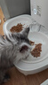 霍曼（Homerun）宠物智能自动喂食器猫粮狗粮定时猫咪自动投食机陶瓷双碗增高版 实拍图