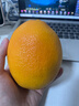 田拾记正宗赣南早脐橙【多地次日达】江西赣州直发新鲜橙子应季水果礼盒 10斤家庭装【高性价比】净9斤 【精选橙】单果180-200g（多汁爽口） 实拍图