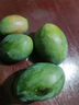 京鲜生 攀枝花凯特芒果 净重8.5斤 带箱9斤 单果500g+ 生鲜水果源头直发 实拍图