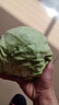 京鲜生山东新鲜绿甘蓝净重3斤单果200g+卷心菜甘蓝新鲜蔬菜 源头直发 实拍图
