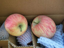 京鲜生 新疆阿克苏苹果 净重4.5斤 果径75-80mm 水果源头直发 实拍图