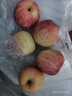 脆甜嘎啦苹果陕西特产鲜水果整箱新鲜上市箱装-千果悦 嘎啦苹果带箱四斤60起 实拍图