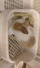 洁西 兔子厕所分体式专用便盆防掀翻大号荷兰猪龙猫笼子用品颜色随机  实拍图