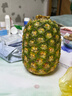 都乐Dole 菲律宾无冠凤梨 巨无霸1只净重2.6斤+  酸甜可口 源头直发 实拍图