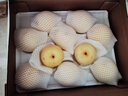 京鲜生 新疆特级库尔勒香梨 净重5斤单果120g以上 生鲜水果 实拍图