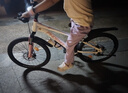 凤凰山地自行车男女变速山地车碟刹青少年儿童自行车学生单车 星际 粉白【单速+三刀轮】 20寸【适合125-160cm】 实拍图