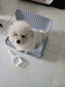 HELLOJOY狗狗厕所中小型犬防踩屎尿盆宠物用品小狗狗砂盆拉屎便盆专用大号 实拍图