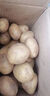 京喜加新鲜黄心土豆农家自种黄皮马铃薯黄心洋芋新鲜蔬菜 2斤 实拍图