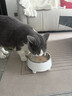 HELLOJOY不锈钢宠物食盆狗碗猫狗碗食盆水粮两用宠物碗喂食器 白色 实拍图