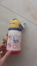 babycare儿童水杯6个月以上宝宝霸王龙不锈钢保温杯上学450ml-新旧款混发 实拍图