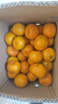 京喜加云南湖北青皮蜜桔橘子高山青皮酸桔子应季时令水果孕妇生鲜 蜜桔带箱9斤50-60mm 实拍图