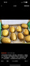 佳沛（zespri）新西兰 阳光金奇异果12粒礼盒特大果单果约122-146g 猕猴桃 水果 实拍图