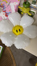 多美忆 生日场景布置气球儿童男孩女孩小雏菊太阳花铝膜气球5件套 实拍图