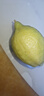 广东香水黄柠檬新鲜柠檬奶茶店专用香水黄柠檬水果产地源头直发 （带箱1斤）香水柠檬黄果单果70g起 实拍图
