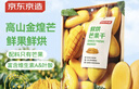 京东京造鲜烘芒果干180g0添加独立包装无糖金煌芒办公室零食果干水果干 实拍图
