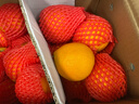 京地达四川爱媛38号果冻橙净重8斤大果15-18粒柑橘桔子水果源头直发 实拍图