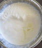 OIDIRE（偶点）酸奶机 家用小型全自动恒温酸奶机酵素机米酒机纳豆智能精控温发酵机1L大容量不锈钢内胆 ODI-SA13 经典款+陶瓷分杯+赠10小包菌粉 实拍图