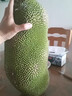 京鲜生海南菠萝蜜整个16-19斤 净重16斤生鲜水果 源头直发 实拍图