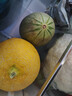 京鲜生 黄金哈密瓜 2粒 单果2.5斤起 净重6-8斤 生鲜水果礼盒 实拍图