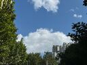 依来洁擦玻璃神器15-37mm家用双面高层窗外家政专用高楼刮擦一体擦窗器 实拍图